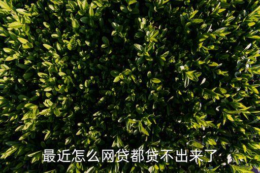 最近網(wǎng)貸怎么都不放款，為什么我網(wǎng)上貸不到款