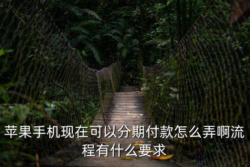在蘋果官網(wǎng)分期怎么弄，蘋果手機(jī)現(xiàn)在可以分期付款怎么弄啊流程有什么要求