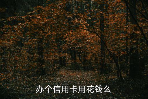 不怎么花錢辦信用卡嗎，辦個(gè)信用卡用花錢么