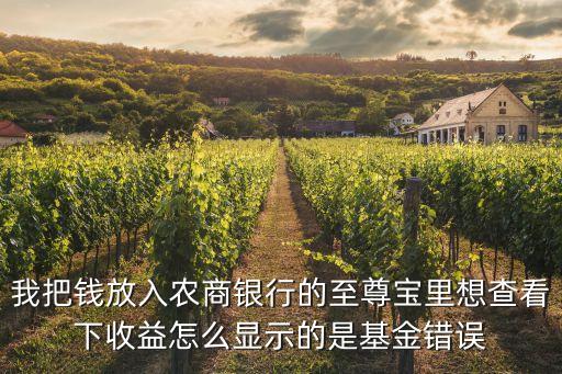 我把錢放入農(nóng)商銀行的至尊寶里想查看下收益怎么顯示的是基金錯誤