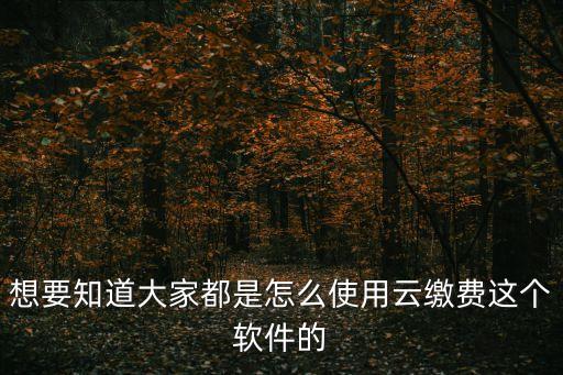 想要知道大家都是怎么使用云繳費這個軟件的