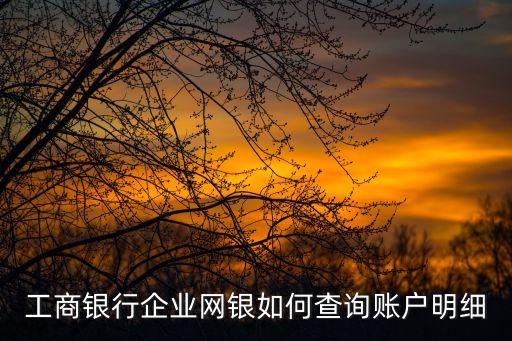 工商銀行企業(yè)網(wǎng)銀如何查詢賬戶明細(xì)