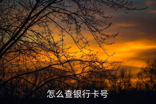 怎么查銀行卡號(hào)