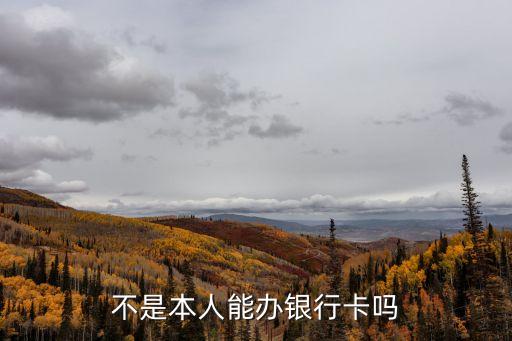 不是本人能辦銀行卡嗎
