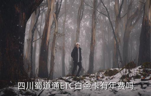 四川蜀道通ETC白金卡有年費嗎