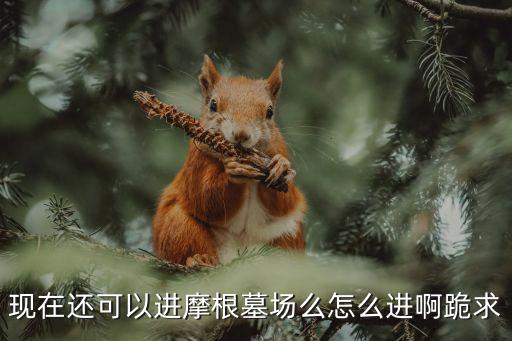 摩根群怎么進(jìn)，請(qǐng)問魔獸54摩根墓地還能進(jìn)去嗎怎么進(jìn)求大神指教啊