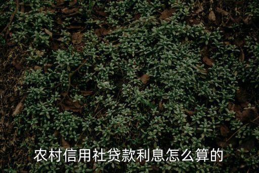 農(nóng)商行貸款利息怎么算，農(nóng)村信用社貸款利息怎么算的