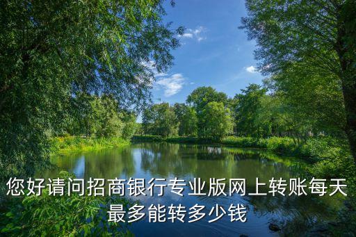 招行企業(yè)賬戶怎么轉(zhuǎn)賬限額，您好請問招商銀行專業(yè)版網(wǎng)上轉(zhuǎn)賬每天最多能轉(zhuǎn)多少錢
