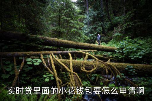 小花錢包怎么借錢，小花錢包不可以現(xiàn)金借款嗎