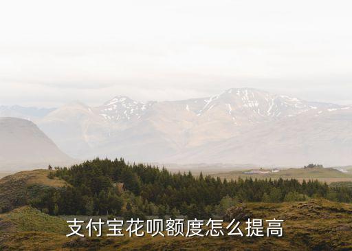 9付寶花唄怎么提額度的，支付寶花唄額度怎么提升