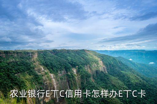 農(nóng)業(yè)etc信用卡怎么辦理，農(nóng)業(yè)銀行E丅C信用卡怎樣辦E丅C卡
