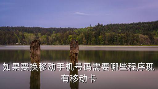 如果要換移動手機號碼需要哪些程序現(xiàn)有移動卡