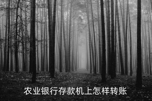 農(nóng)業(yè)銀行存款機(jī)上怎樣轉(zhuǎn)賬
