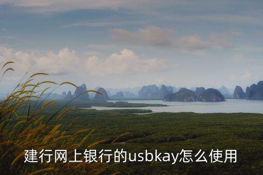 建行網(wǎng)上銀行的usbkay怎么使用