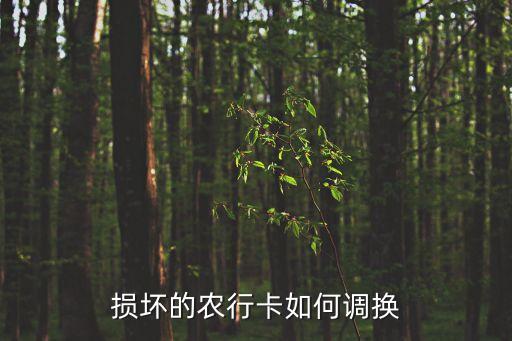 銀行卡壞了了怎么換，銀行卡壞了怎樣換呢