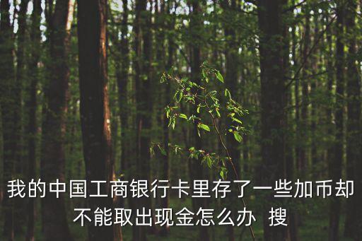 儲(chǔ)蓄卡里有外幣怎么辦，銀行卡里的外幣如何取出從柜臺(tái)嗎ATM機(jī)行么