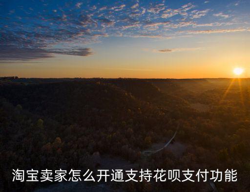淘寶開店怎么支持花唄，淘寶店鋪怎樣開通螞蟻花唄支付
