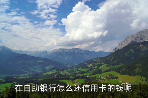 信用卡怎么自助還款嗎，信用卡怎么在網(wǎng)上還款