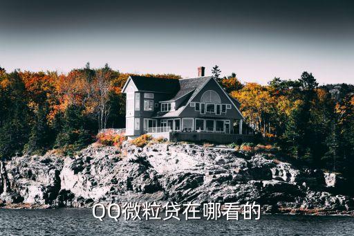 扣扣微粒貸怎么沒看到，QQ微粒貸在哪看的