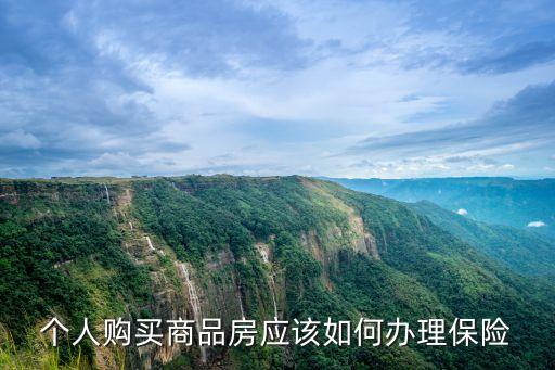 個(gè)人購(gòu)買(mǎi)商品房應(yīng)該如何辦理保險(xiǎn)