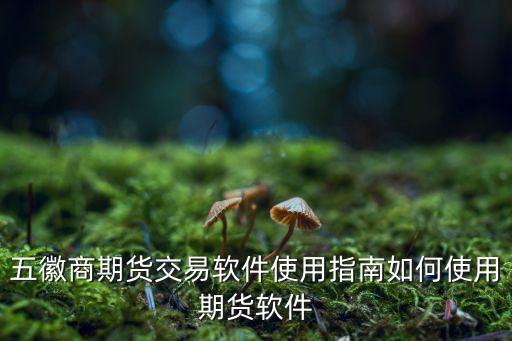 五徽商期貨交易軟件使用指南如何使用期貨軟件
