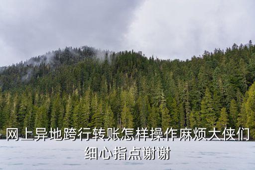 網(wǎng)上異地跨行轉(zhuǎn)賬怎樣操作麻煩大俠們細(xì)心指點(diǎn)謝謝