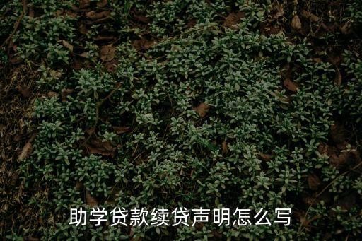 怎么進去續(xù)貸聲明，生源地助學貸款續(xù)貸聲明什么時候寫