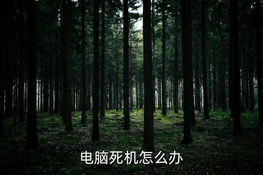 電腦死機怎么辦