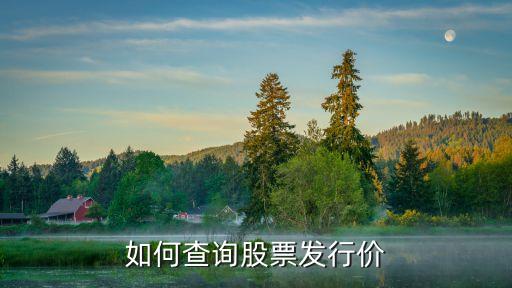 如何查詢(xún)股票發(fā)行價(jià)