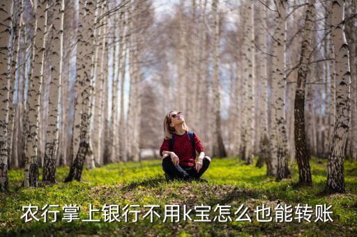 手機(jī)農(nóng)行掌上銀行怎么轉(zhuǎn)賬，怎么用農(nóng)行掌上銀行轉(zhuǎn)賬到支付寶