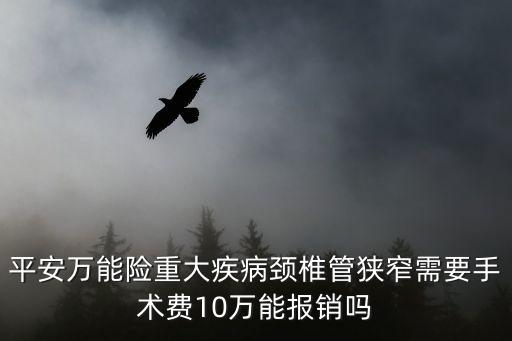 平安萬能險重大疾病頸椎管狹窄需要手術(shù)費(fèi)10萬能報銷嗎