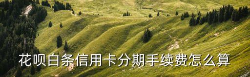 淘寶信用卡花唄手續(xù)費怎么算，淘寶賣家螞蟻花唄手續(xù)費怎么算的