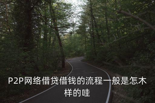 P2P網(wǎng)絡(luò)借貸借錢的流程一般是怎木樣的哇