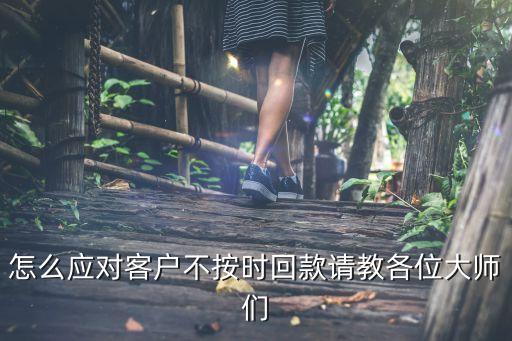 怎么應(yīng)對客戶不按時回款請教各位大師們