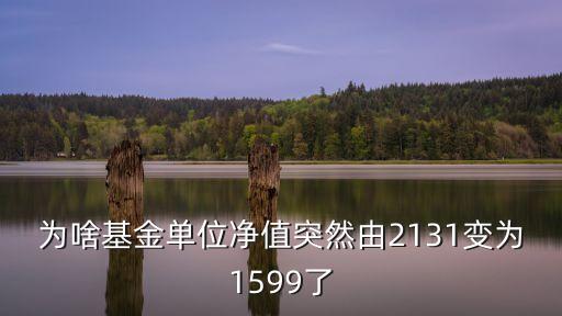 為啥基金單位凈值突然由2131變?yōu)?599了