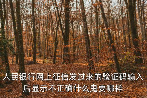人民銀行網(wǎng)上征信發(fā)過來的驗(yàn)證碼輸入后顯示不正確什么鬼要哪樣