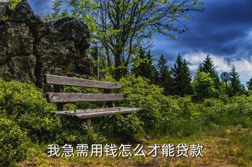 剩余可借額度怎么貸，京東借錢可借額度已借完是否可以再借