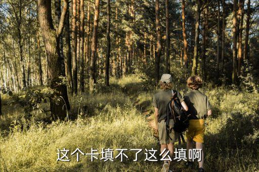 這個(gè)卡填不了這么填啊
