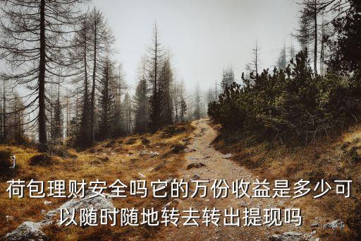 荷包的利息怎么算，荷包理財安全嗎它的萬份收益是多少可以隨時隨地轉(zhuǎn)去轉(zhuǎn)出提現(xiàn)嗎