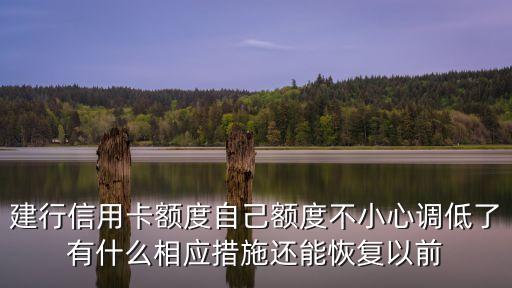 降額了怎么恢復(fù)，建行信用卡額度自己額度不小心調(diào)低了有什么相應(yīng)措施還能恢復(fù)以前