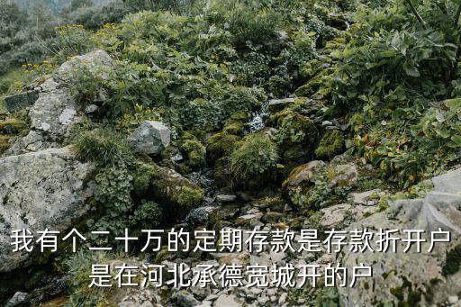 我有個(gè)二十萬的定期存款是存款折開戶是在河北承德寬城開的戶