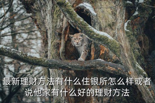 深圳住銀投資有限公司怎么樣，我想知道住銀所的理財(cái)項(xiàng)目適不適合我來做啊