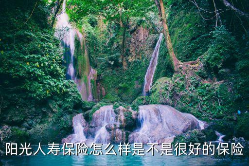 陽(yáng)光人壽保險(xiǎn)怎么樣是不是很好的保險(xiǎn)