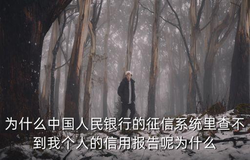 為什么中國(guó)人民銀行的征信系統(tǒng)里查不到我個(gè)人的信用報(bào)告呢為什么