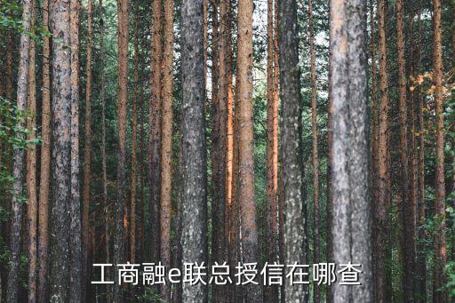 工商融e聯(lián)總授信在哪查