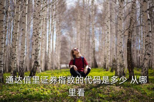 通達(dá)信里證券指數(shù)的代碼是多少 從哪里看