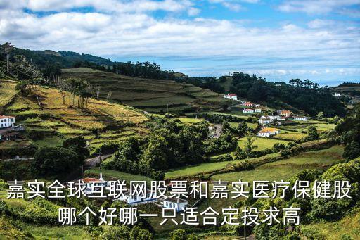 嘉實全球互聯(lián)網股票和嘉實醫(yī)療保健股哪個好哪一只適合定投求高