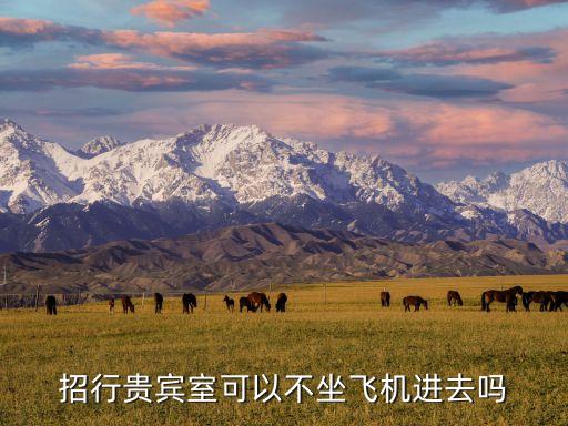 招行貴賓室可以不坐飛機進(jìn)去嗎