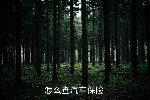 怎么查詢汽車保險(xiǎn)生效，查車保險(xiǎn)怎么查