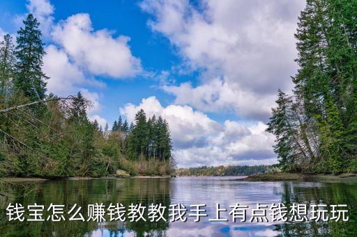 錢寶怎么賺錢教教我手上有點(diǎn)錢想玩玩